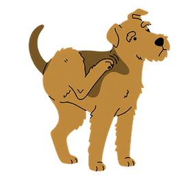 Illustration of a brown dog scratching its neck with hind leg against a transparent background