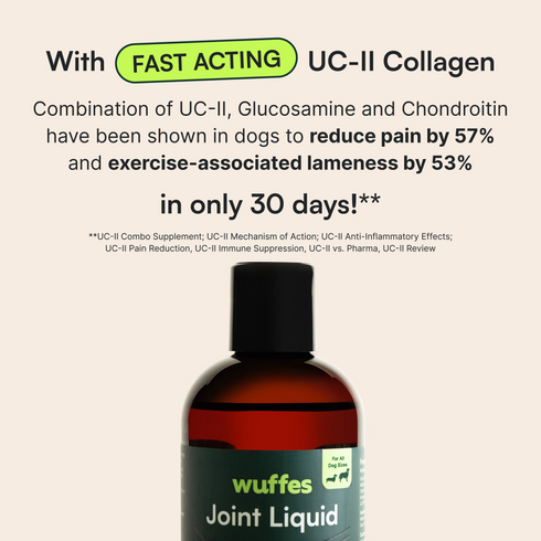 Bottle of Wuffles Joint Liquid with text highlighting fast acting UC-II collagen benefits for dogs