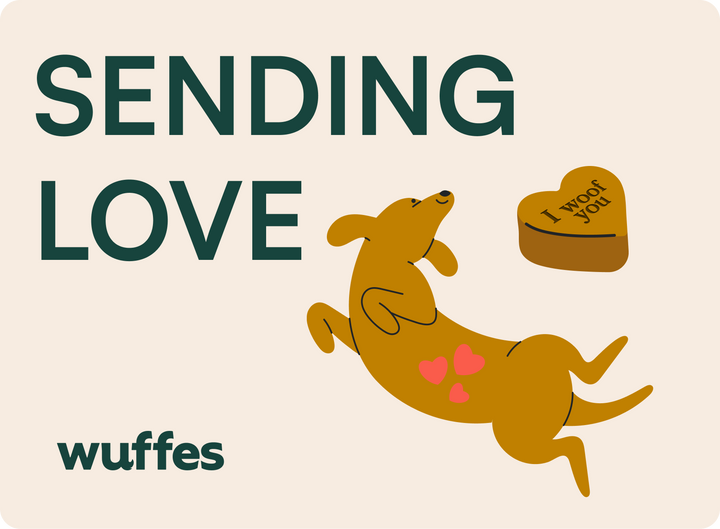 $25.00 / Gift card 13