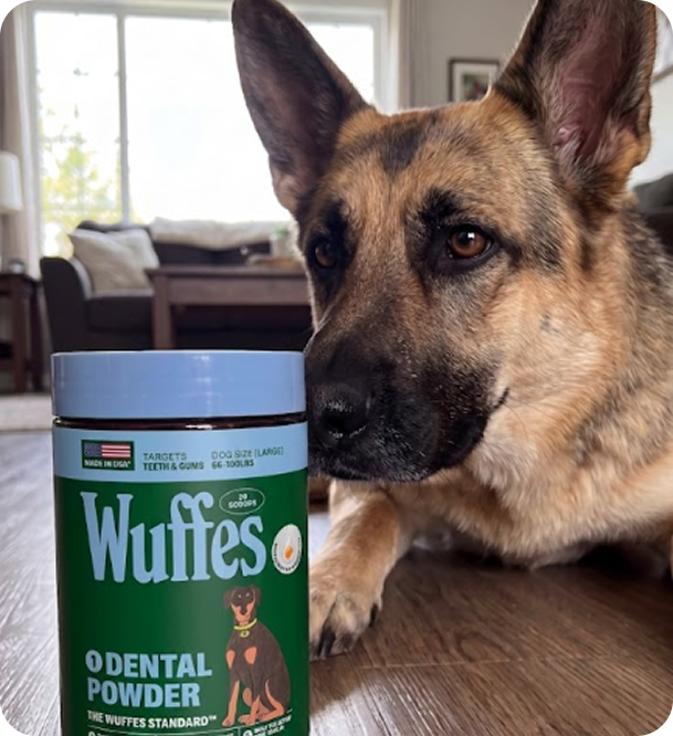 Zeus beside a tub of Wuffes Dental Powder