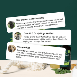 Customer reviews praising a dog joint health supplement alongside a bottle and dog toys.