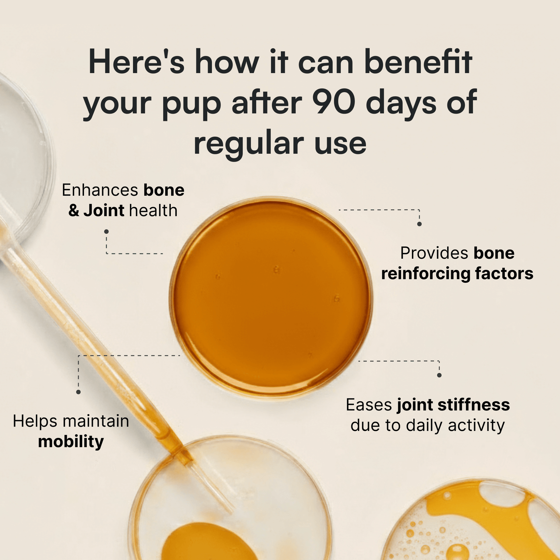 Illustration showing benefits of dog supplement for bone and joint health after 90 days use