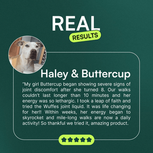 Testimonial about improved dog joint health and increased energy with joint supplement use