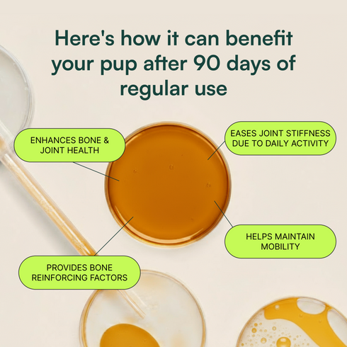 Top view of amber liquid in glass bowls with benefits for dog joint and bone health text.