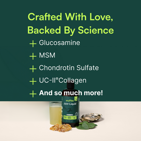 Bottle of joint liquid with ingredients list including glucosamine, MSM, chondroitin sulfate, collagen