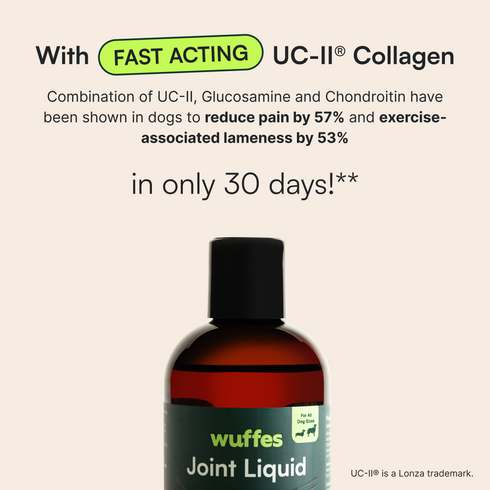 Joint Liquid 8oz