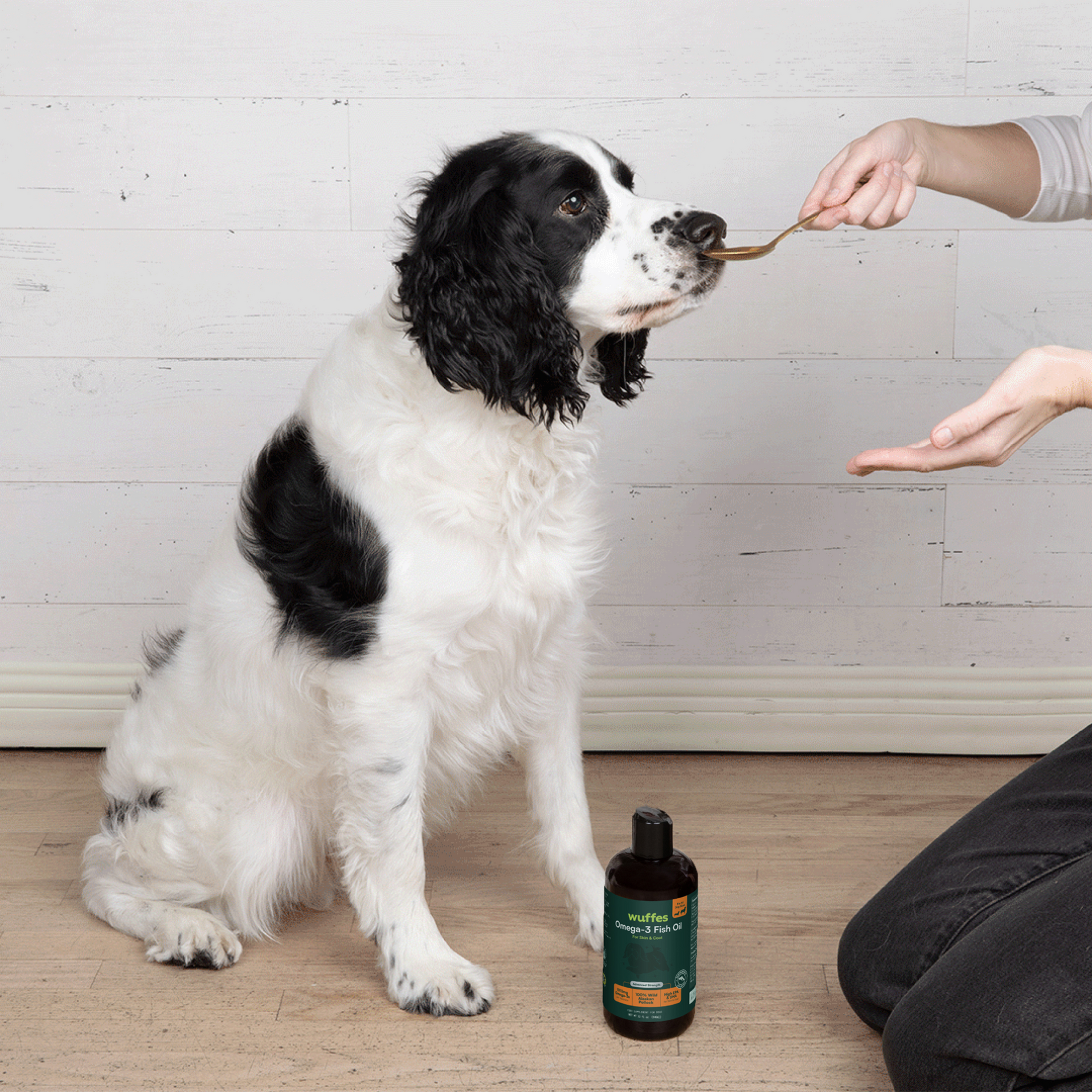 Dog being fed Wuffes Omega-3 Fish Oil from a spoon, with the 32 fl oz bottle beside them