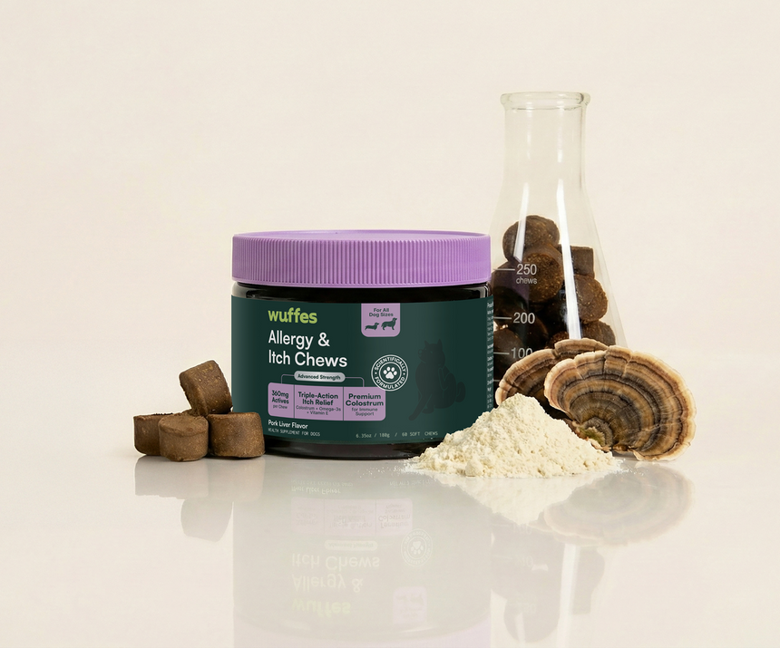 Container of allergy and itch chews for dogs next to fungus, powder, and chew samples