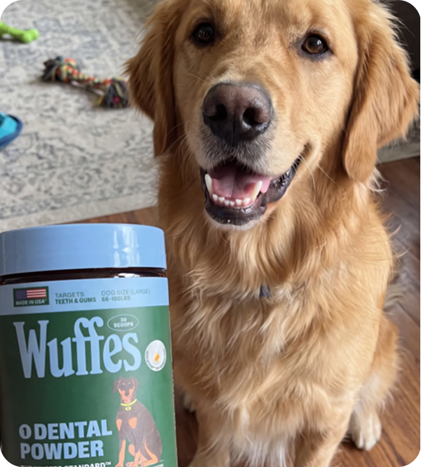 Bella beside a tub of Wuffes Dental Powder
