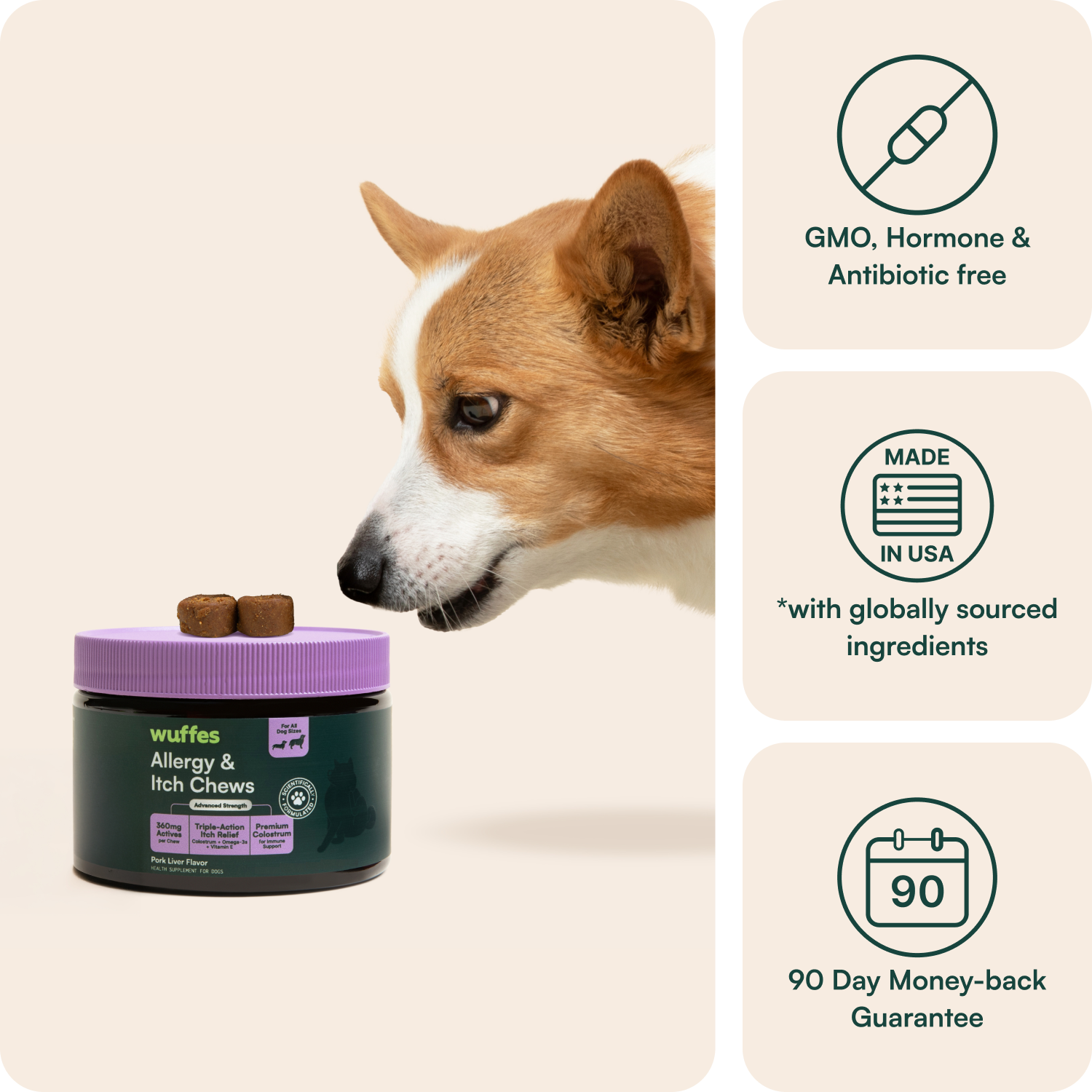 Dog sniffing allergy and itch chews container with product benefits icons on the side