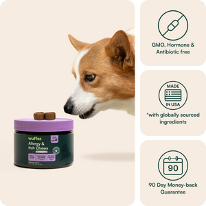 Dog sniffing allergy and itch chews container with product benefits icons on the side