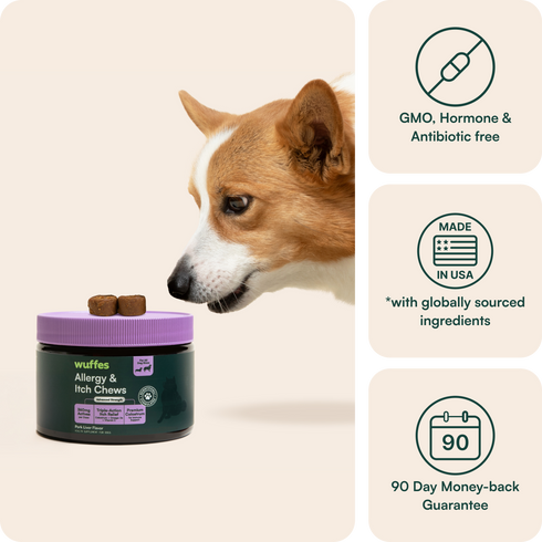 Dog sniffing allergy and itch chews container with product benefits icons on the side