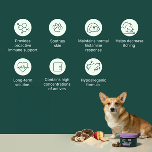 Icons representing immune support, skin soothing, histamine response, itch relief, long-term solution, active concentration, hypoallergenic, with a dog and supplement jar