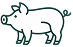 Illustration of a whole raw pork cut with visible fat and muscle textures on a white background